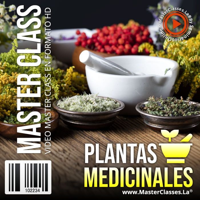 Academia Citogim Algunas Plantas Medicinales Y Sus Pr 0120